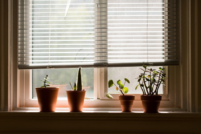 Welcome to BlindsInDubai.ae: Your Source for Bamboo Roller Blinds